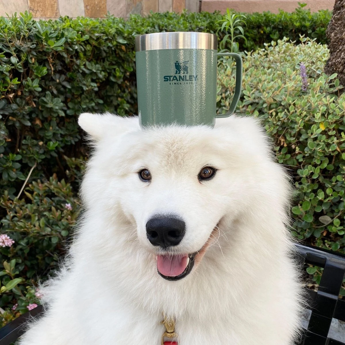 Stanley The Legendary Camp Mug 0,35L - Beker - Hammertone Green 4 Stanley The Legendary Camp Mug 0,35L - Beker - Hammertone Green - Afbeelding 4