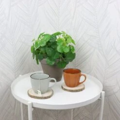 OTIX Koffiekopjes - Met Oor - Set Van 4 - Verschillende Kleuren - Aardewerk - 250 Ml -Serviesselectie Winkel 1200x1200 437