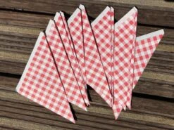 Papieren Frietzak - 30 Stuks - Kleine Patat Maat K14 - Boerenbont - Rode Ruitjes - Puntzak - Patatzak - Traktaties -Serviesselectie Winkel 1200x900 143