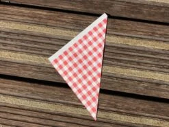 Papieren Frietzak - 30 Stuks - Kleine Patat Maat K14 - Boerenbont - Rode Ruitjes - Puntzak - Patatzak - Traktaties -Serviesselectie Winkel 1200x900 144