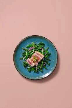 Palmer Serviesset Lotus Stoneware 6-persoons 24-delig Zwart Turquoise 23 Palmer Serviesset Lotus Stoneware 6-persoons 24-delig Zwart Turquoise -Serviesselectie Winkel 801x1200